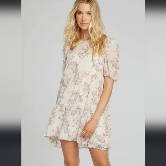 saltwater LUXE Dresses & Skirts - Saltwater Luxe Tyler mini dress